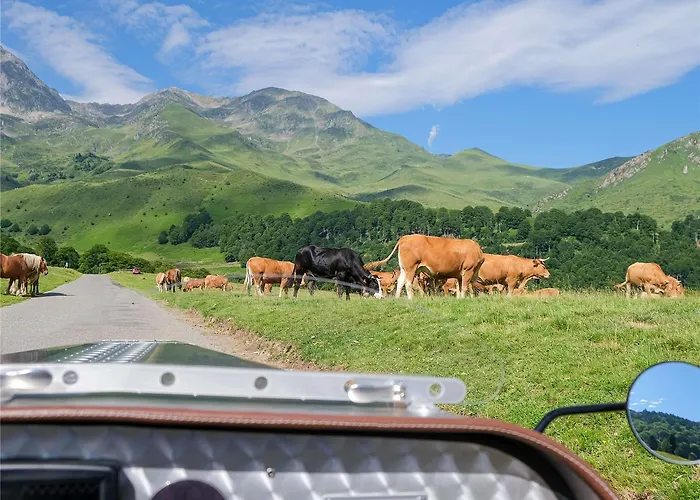 Mercure Saint-lary 4*